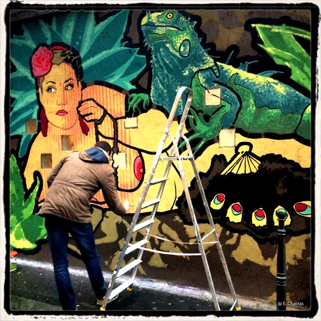 JB Colin - Galerue Cascades, Novembre 2016